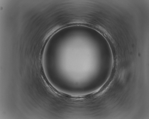 X0000082951129200702011235