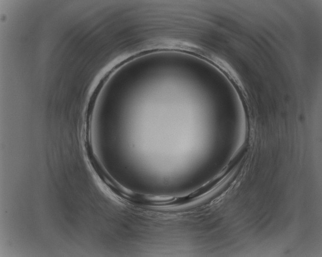 X0000082951136200702011236