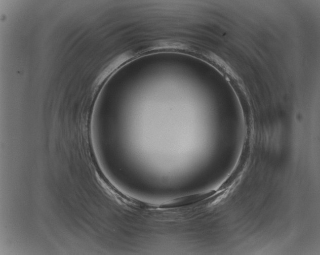 X0000082951137200702011236