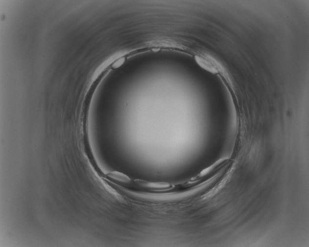 X0000082951141200702011236