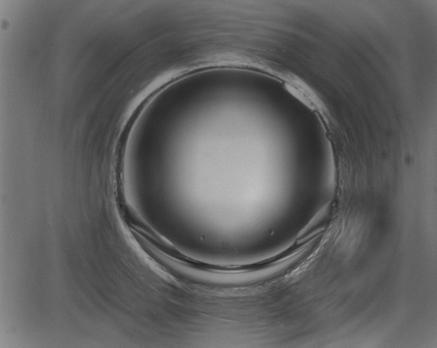 X0000082951142200702011236