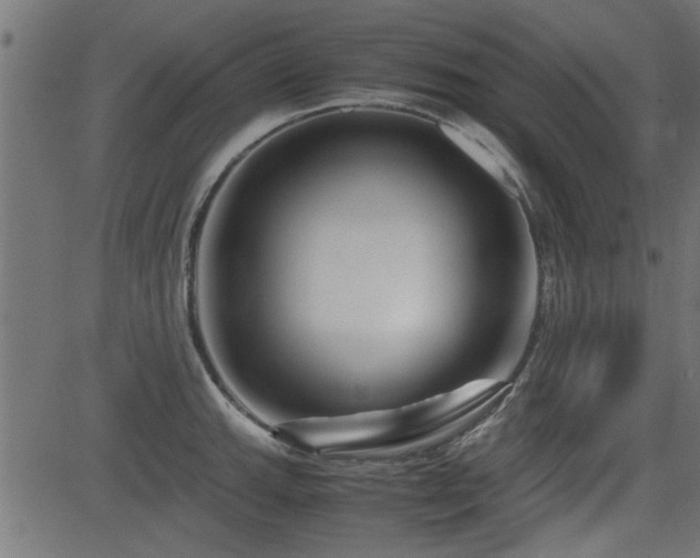 X0000082951143200702011236