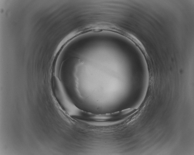 X0000082951146200702011236