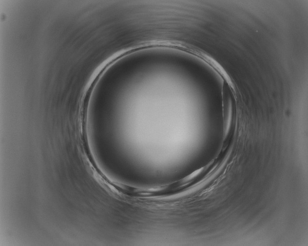 X0000082951148200702011236