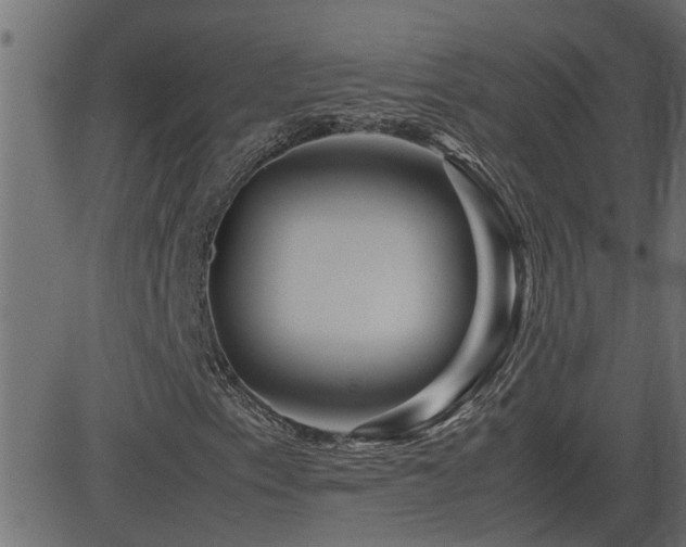 X0000082951153200702011235
