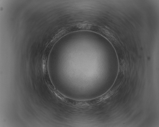 X0000082951154200702011235