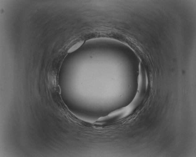 X0000082951155200702011235