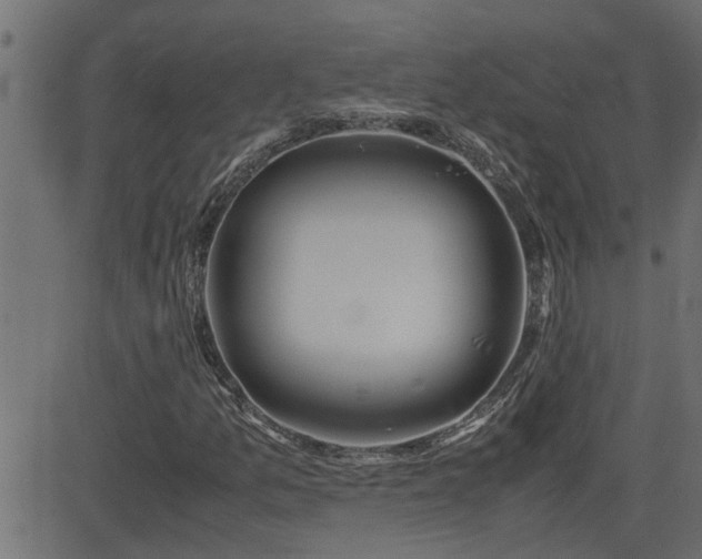 X0000082951157200702011235