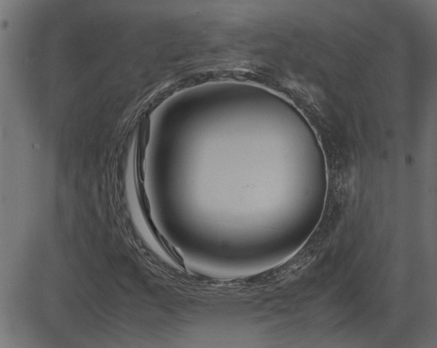 X0000082951159200702011235