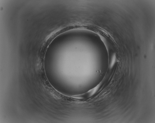 X0000082951160200702011235
