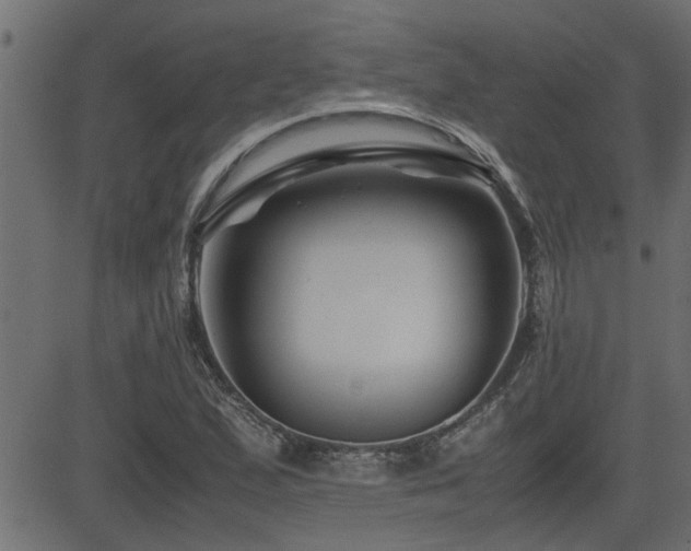 X0000082951167200702011235