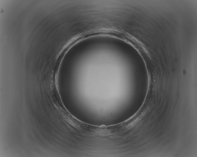 X0000082951170200702011235