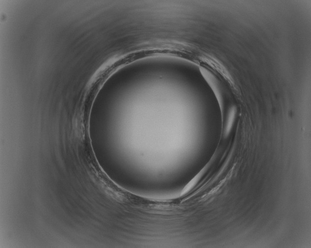 X0000082951172200702011235