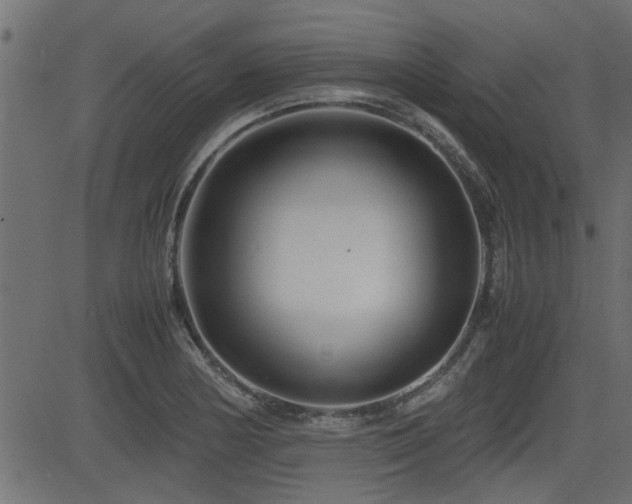 X0000082951178200702011235