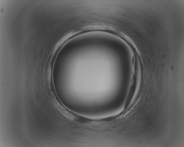 X0000082951179200702011235