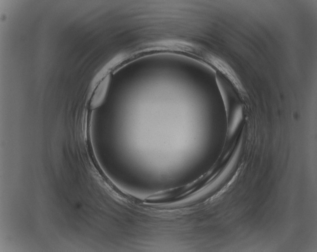 X0000082951180200702011235