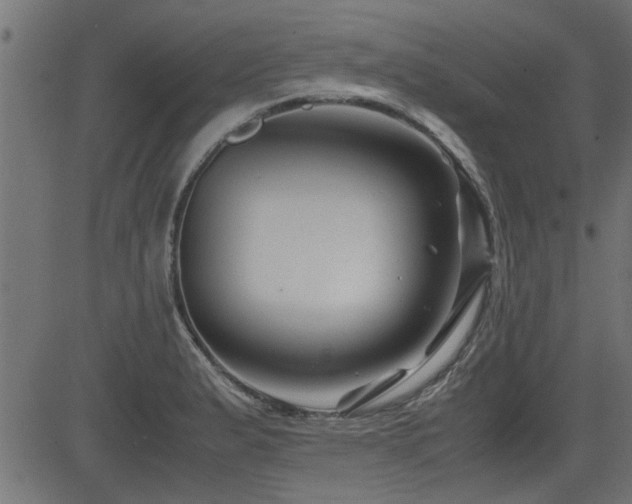 X0000082951183200702011235