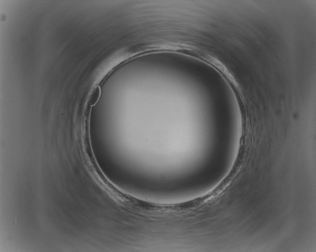 X0000082951187200702011234