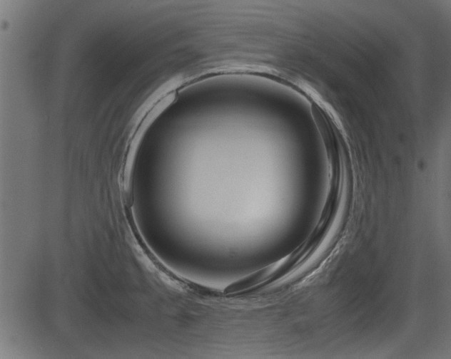 X0000082951189200702011234