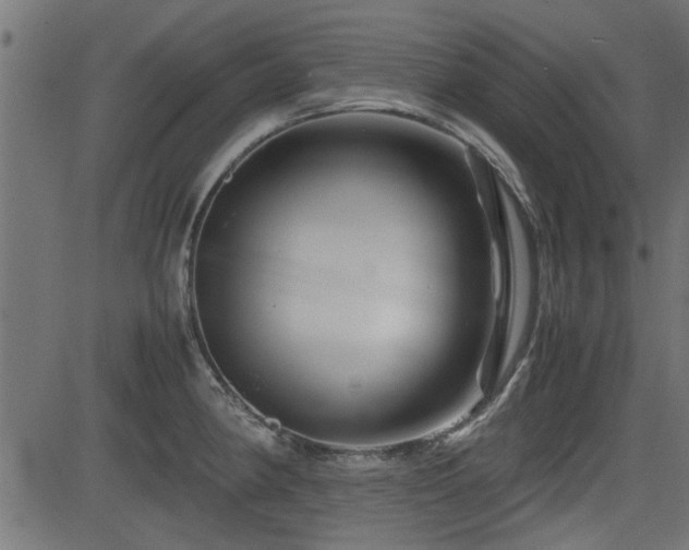 X0000082951190200702011234
