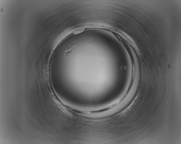X0000082951192200702011234