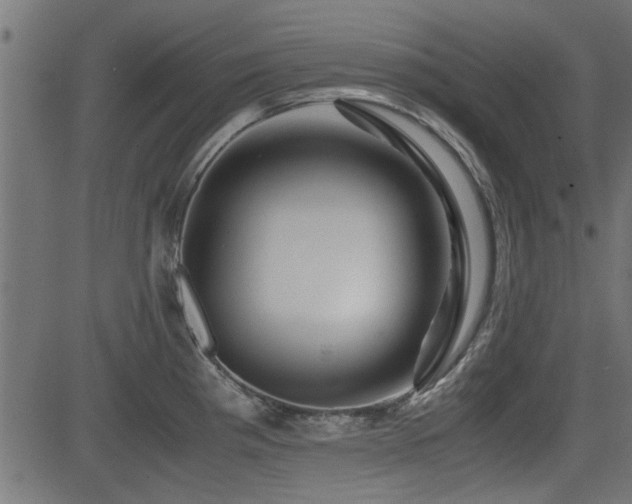 X0000082951193200702011234