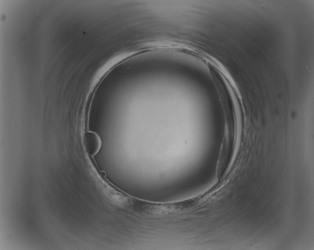 X0000082951195200702011234