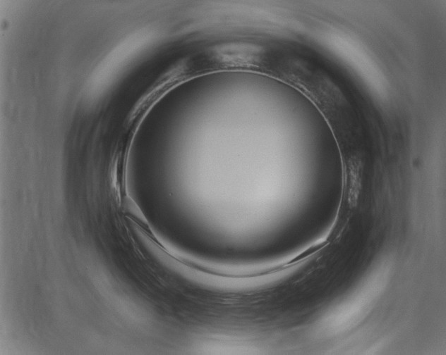 X0000082951198200702011234
