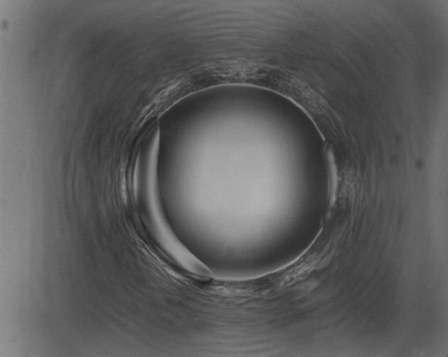 X0000082951202200702011234