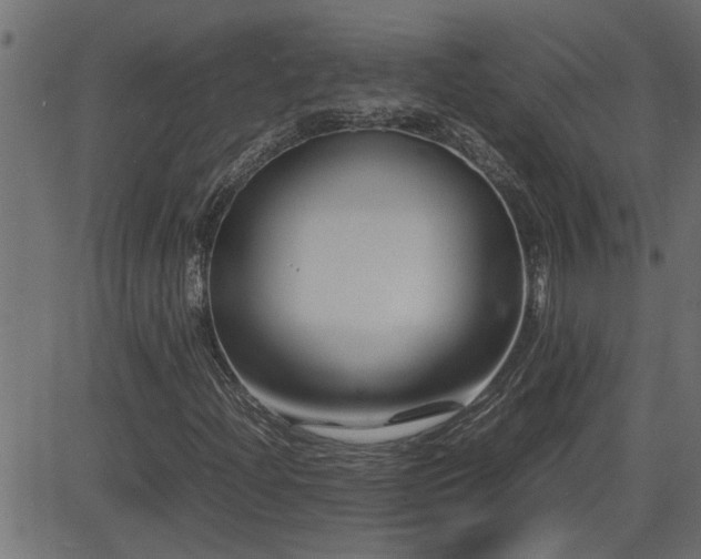 X0000082951204200702011234
