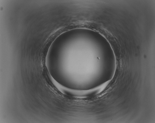 X0000082951206200702011234