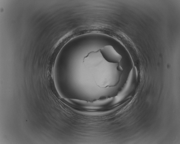 X0000082951210200702011234