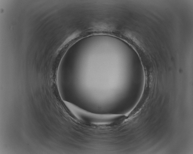X0000082951213200702011234