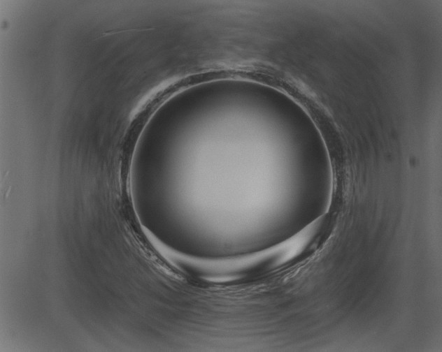 X0000082951214200702011234