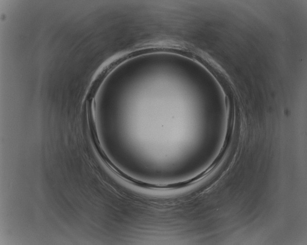 X0000082951222200702011234