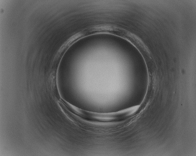 X0000082951225200702011234