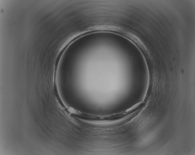 X0000082951228200702011234
