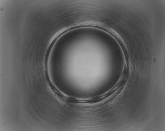 X0000082951230200702011234
