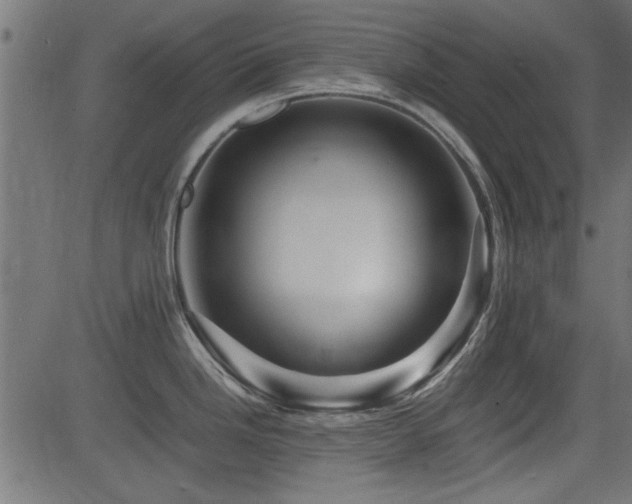 X0000082951246200702011234