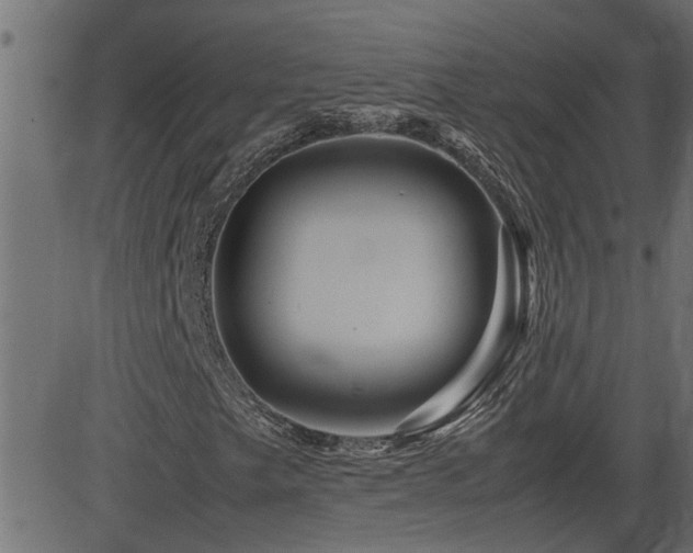 X0000082951249200702011233