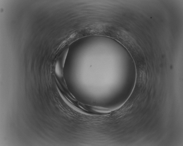 X0000082951250200702011233