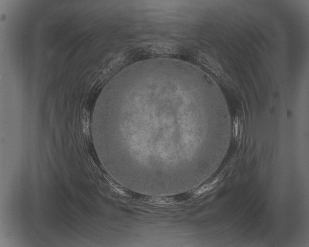 X0000082951251200702011233