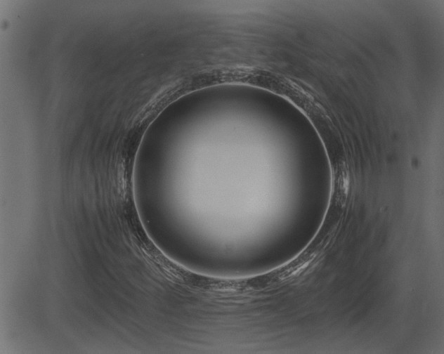 X0000082951252200702011233