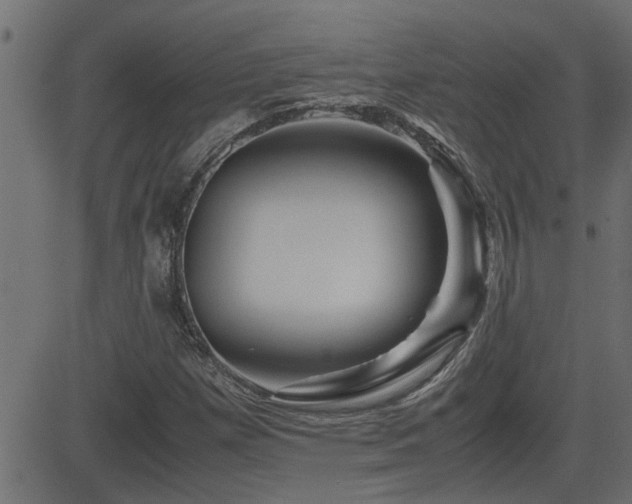 X0000082951257200702011233