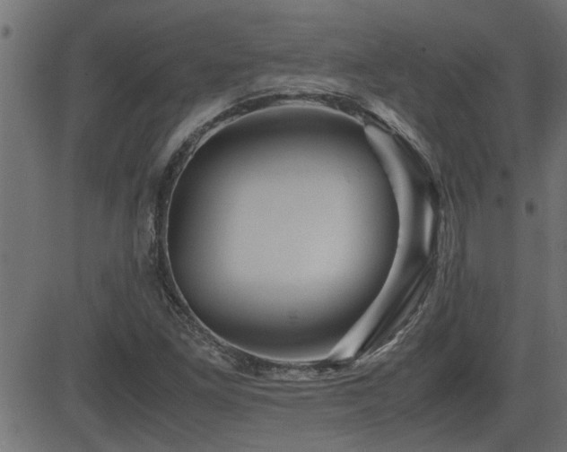 X0000082951261200702011233