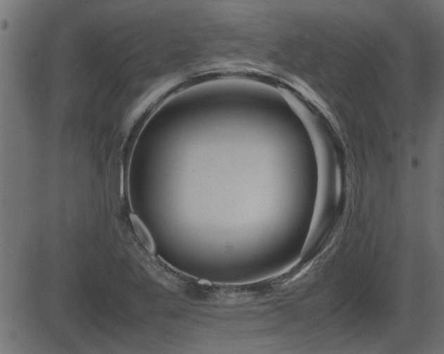 X0000082951269200702011233