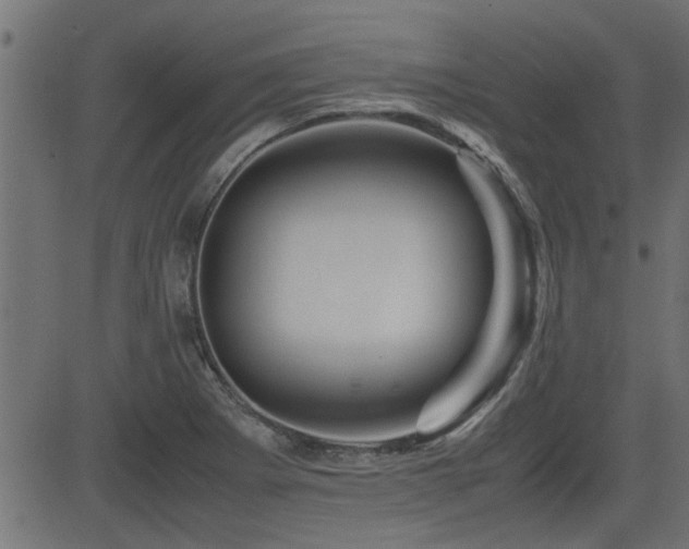 X0000082951273200702011233