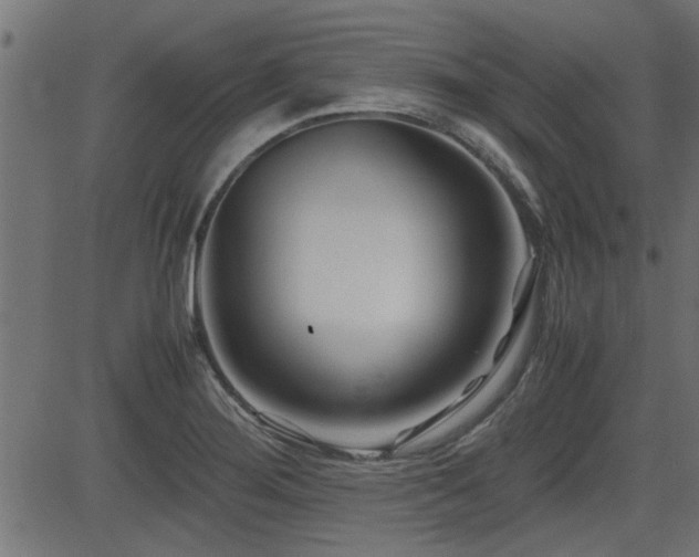 X0000082951276200702011233
