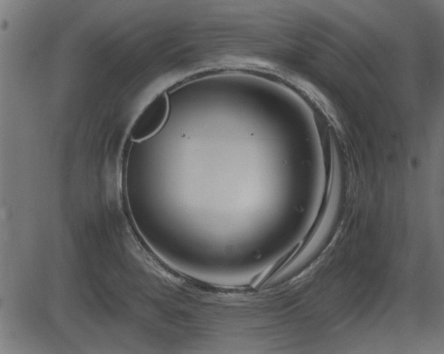 X0000082951280200702011233