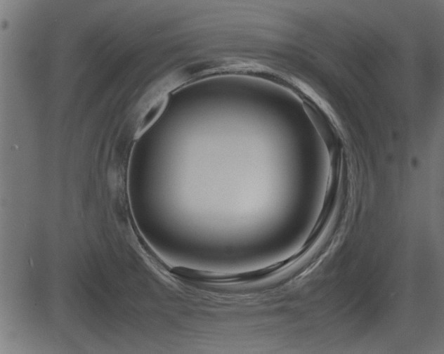 X0000082951281200702011233